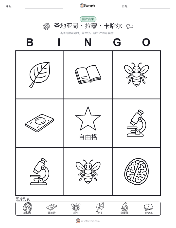 图片宾果