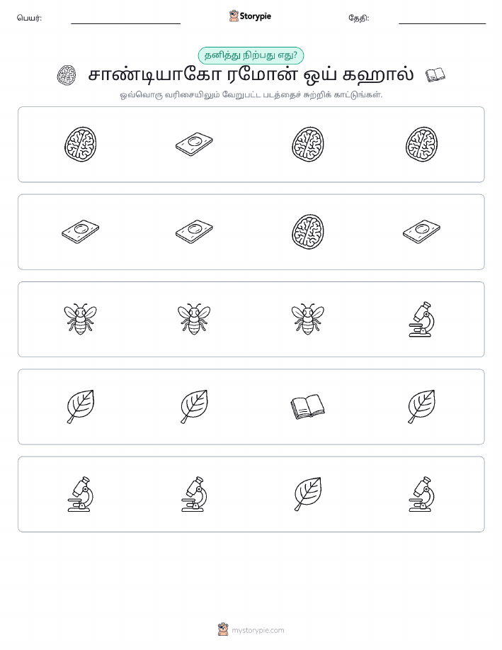 தவறானது