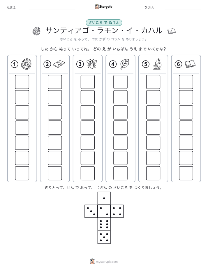 ロール＆カラー