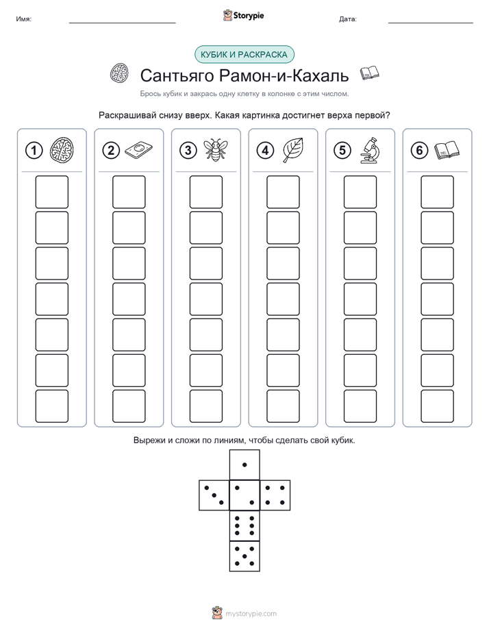 Катать и раскрашивать