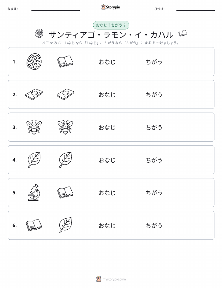 同じか違うか