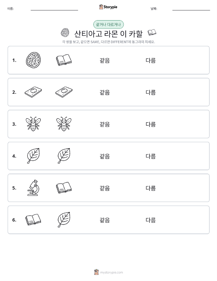 같은 것 또는 다른 것