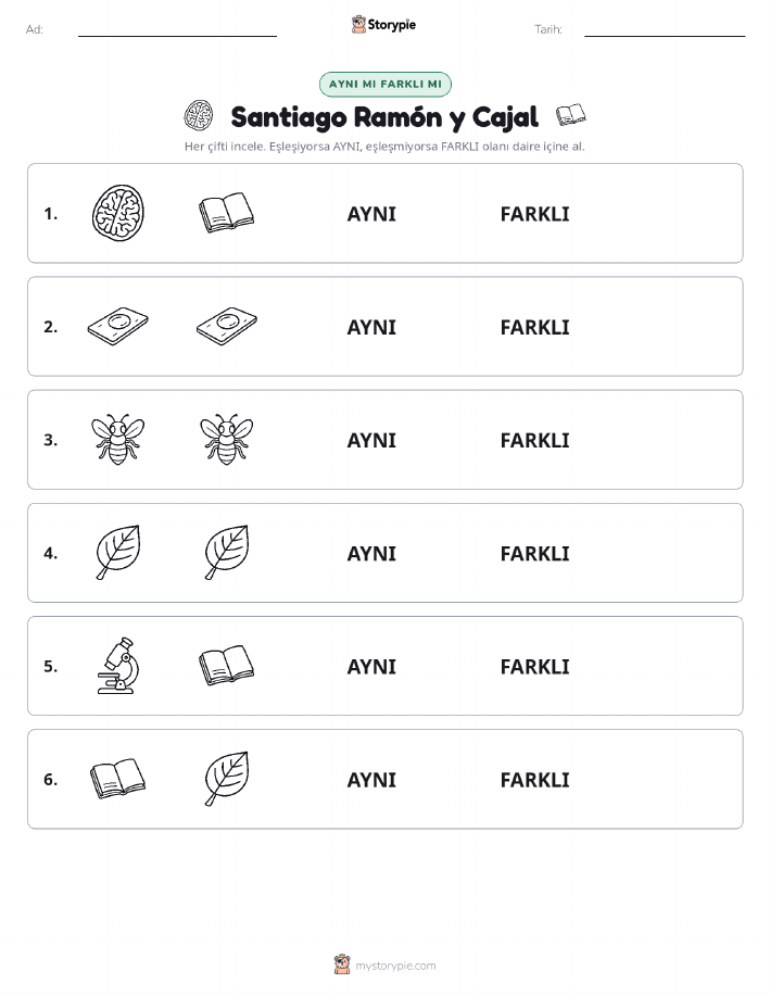 Aynı mı Farklı mı