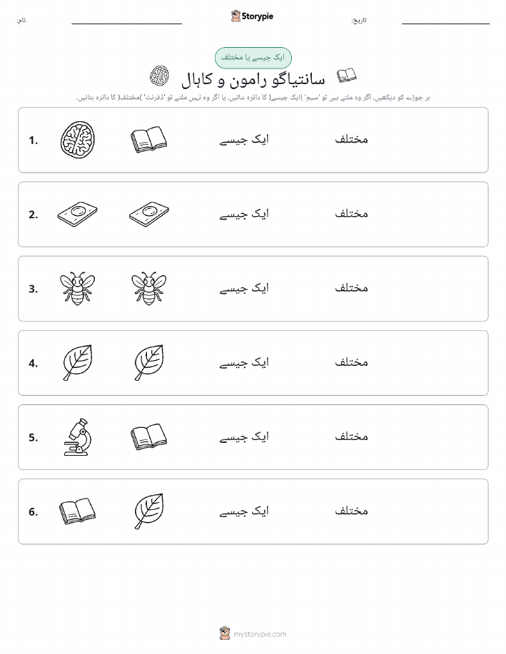 ایک جیسا یا مختلف