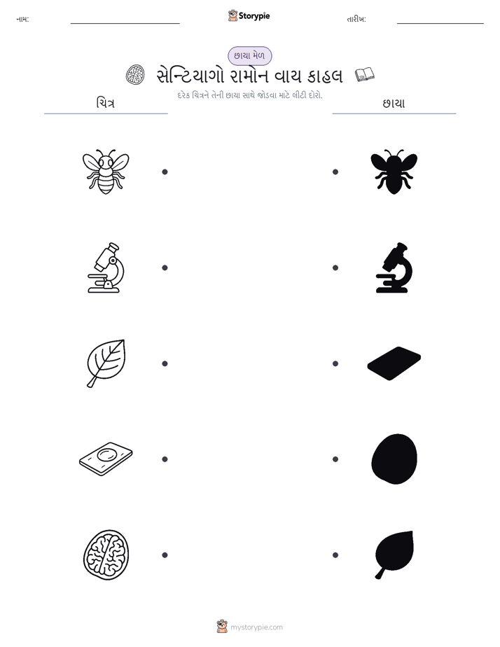 શેડો મેચ