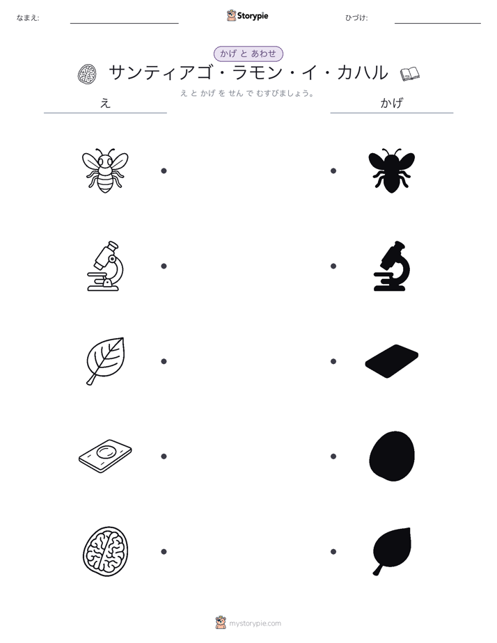 シャドウマッチ
