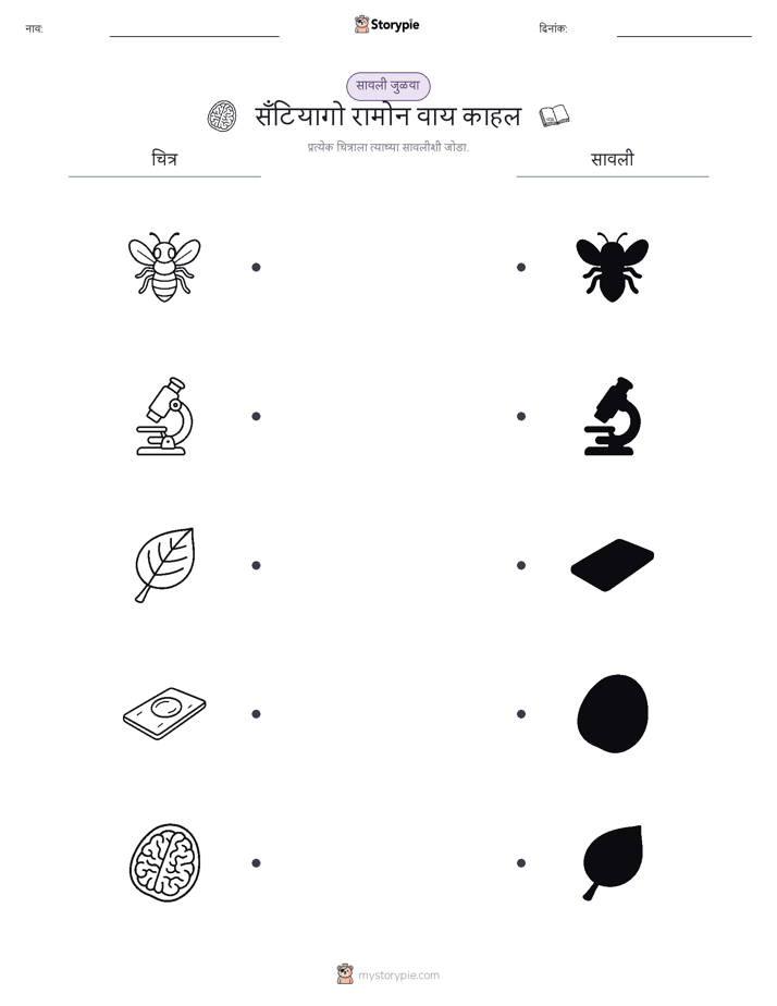 छाया जुळवा