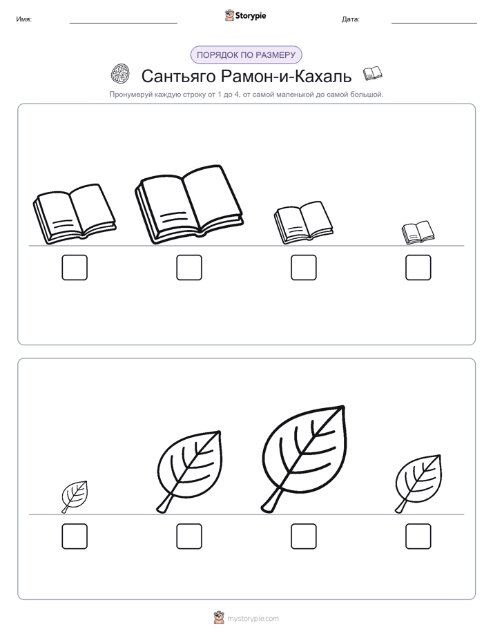 Размеры в порядке