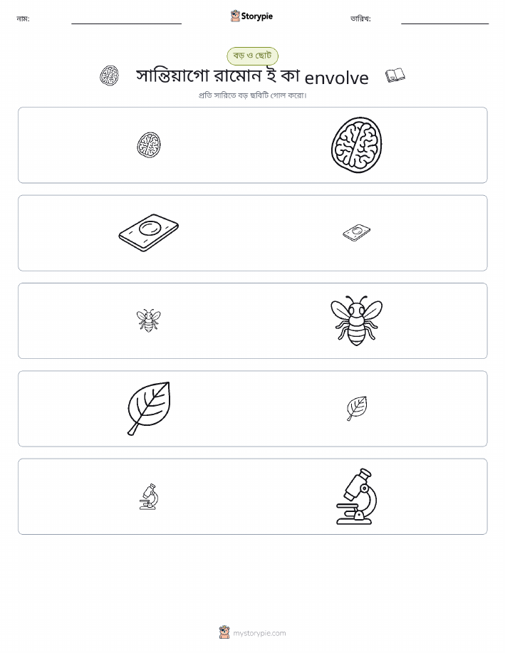 সাজানো