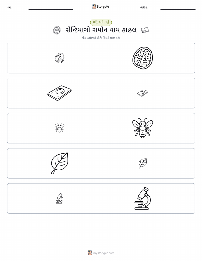 વર્ગીકરણ