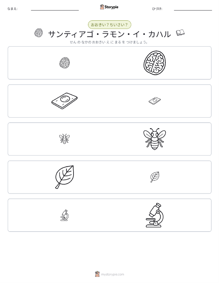 ソーティング