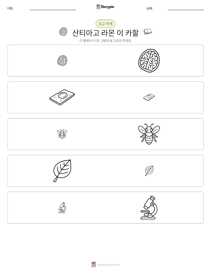 정렬