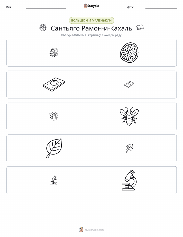 Сортировка