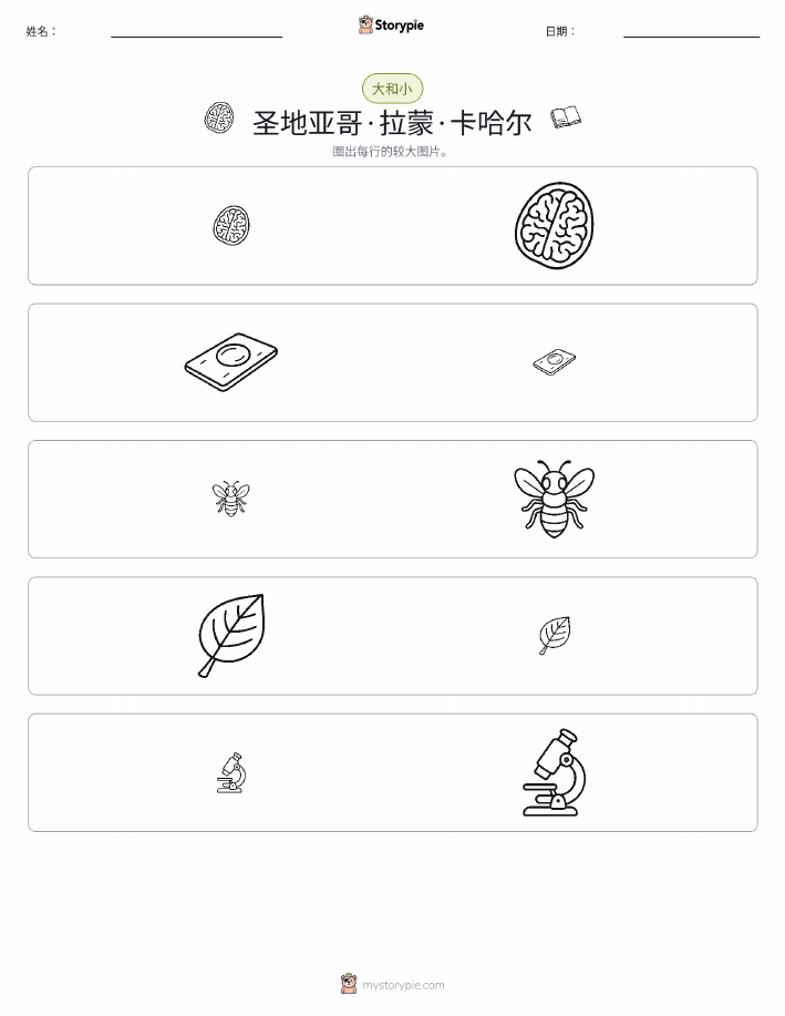 分类