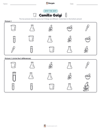 Camillo Golgi printable worksheet preview