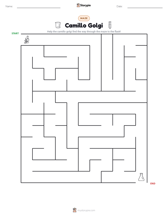 Maze