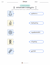 സെവെറോ ഓച്ചോവ കുട്ടികൾക്കുള്ള പ്രിന്റ് ചെയ്യാവുന്ന വർക്ക്‌ഷീറ്റ്