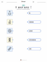 塞韦罗·奥乔亚 可打印工作表预览