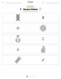 Severo Ochoa printable worksheet preview