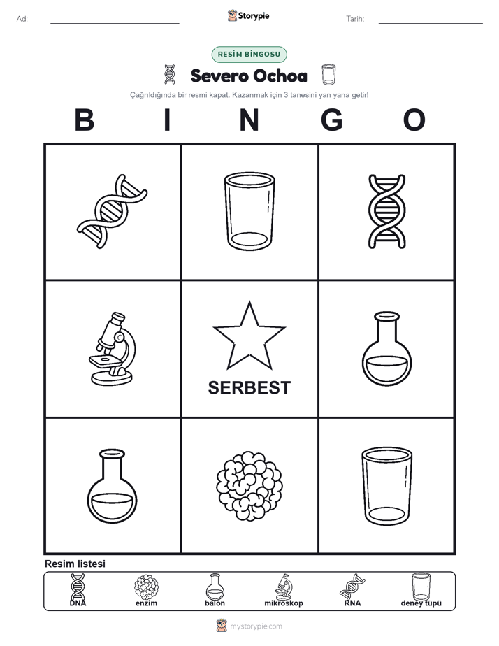 Resim Bingo
