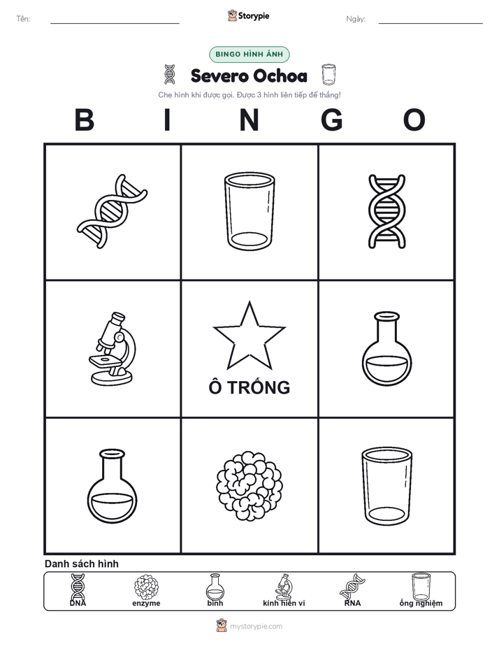Bingo Hình Ảnh