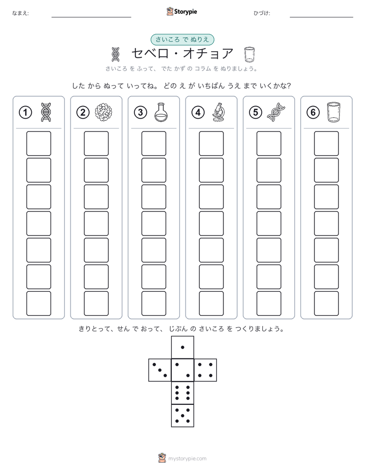 ロール＆カラー