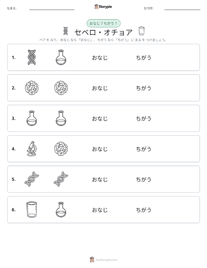 同じか違うか