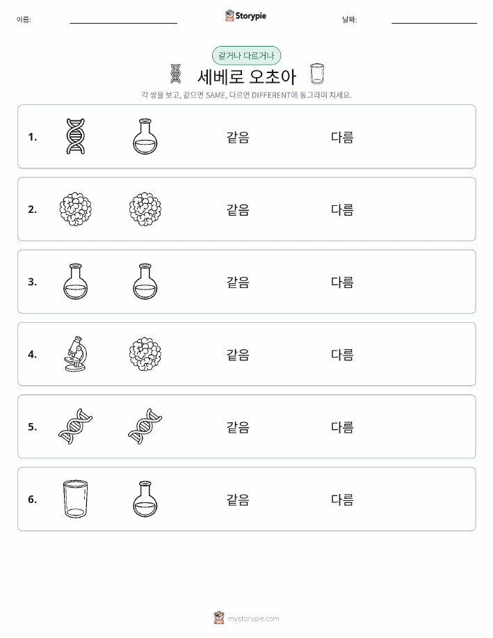 같은 것 또는 다른 것