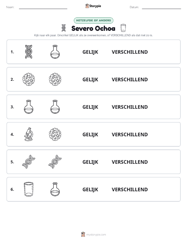 Zelfde of Verschillend