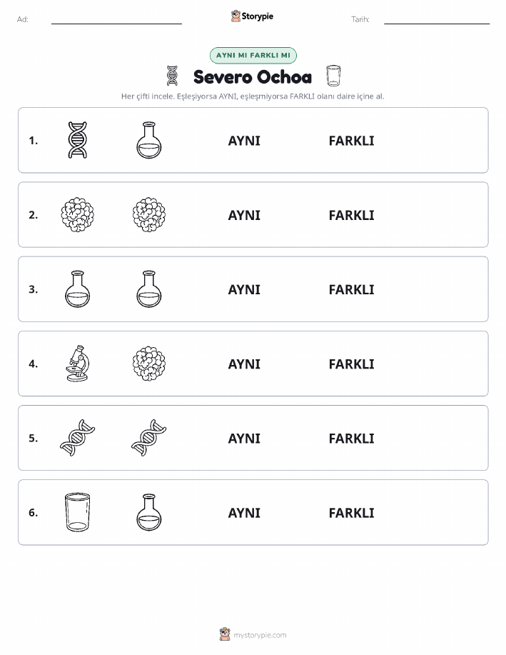Aynı mı Farklı mı