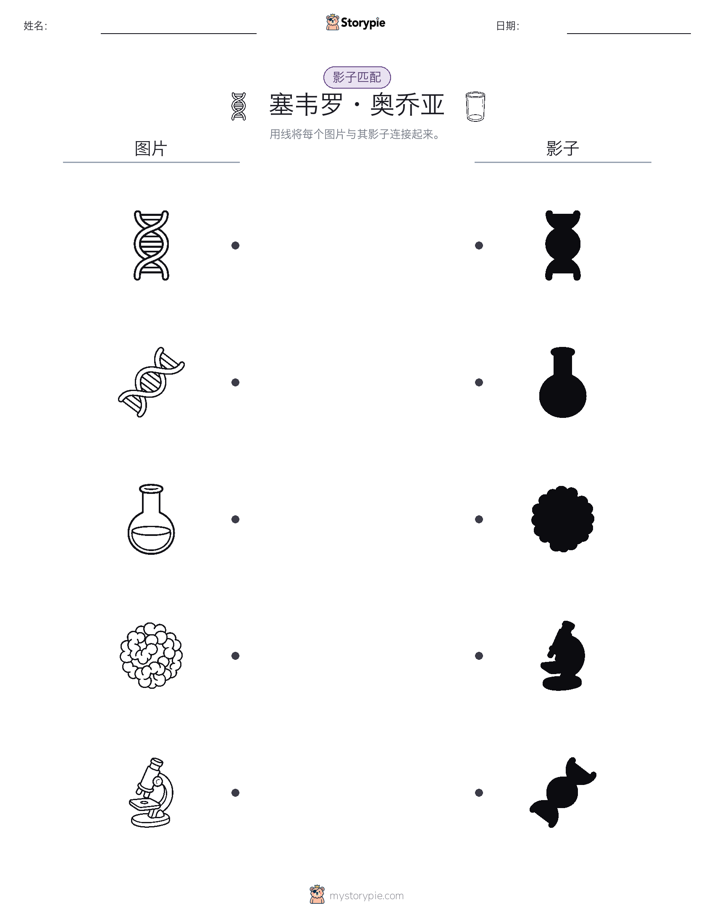 影子匹配