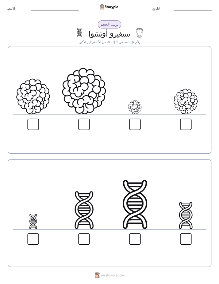 ترتيب الحجم