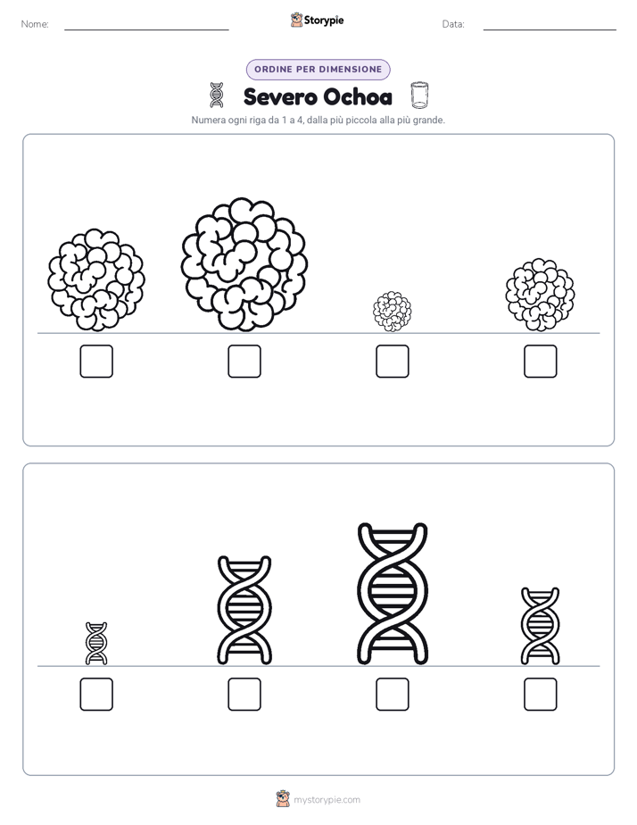 Ordine di Dimensione