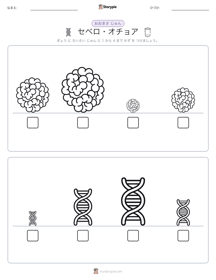 サイズ順