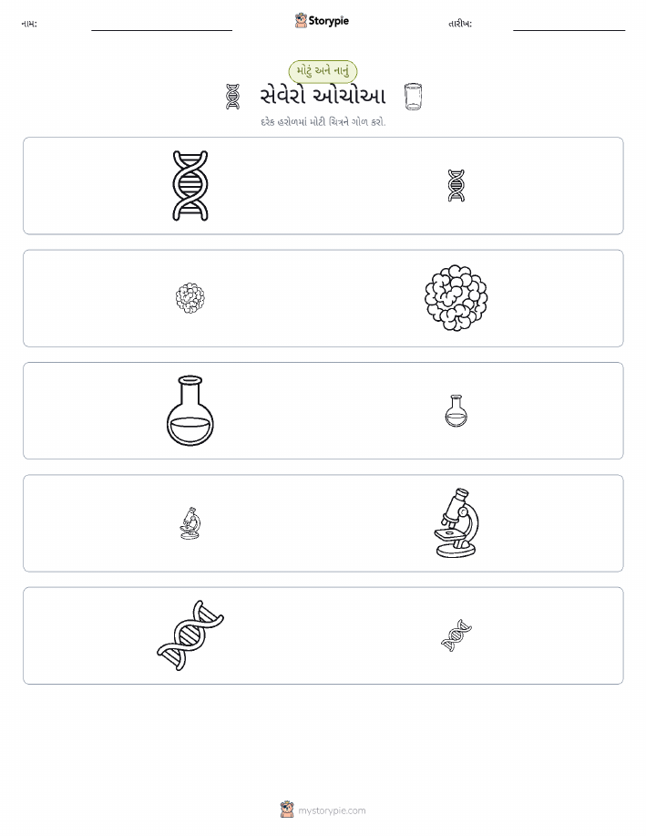 વર્ગીકરણ