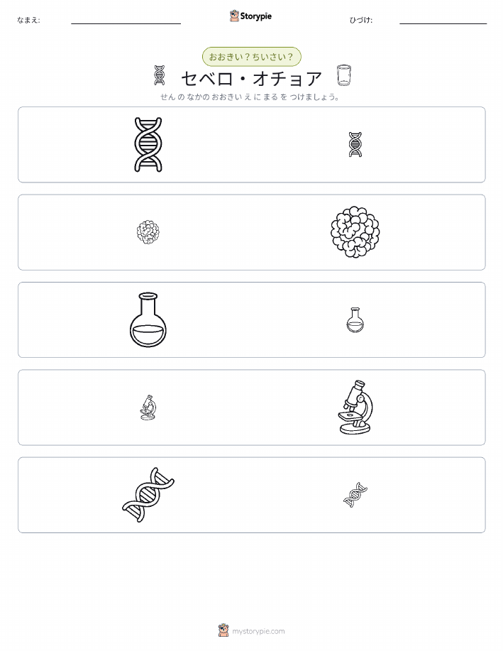 ソーティング