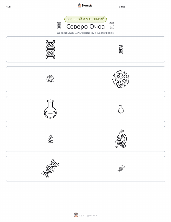 Сортировка