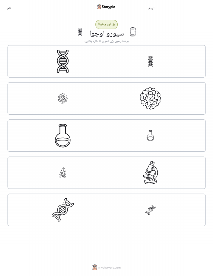 ترتیب دینا