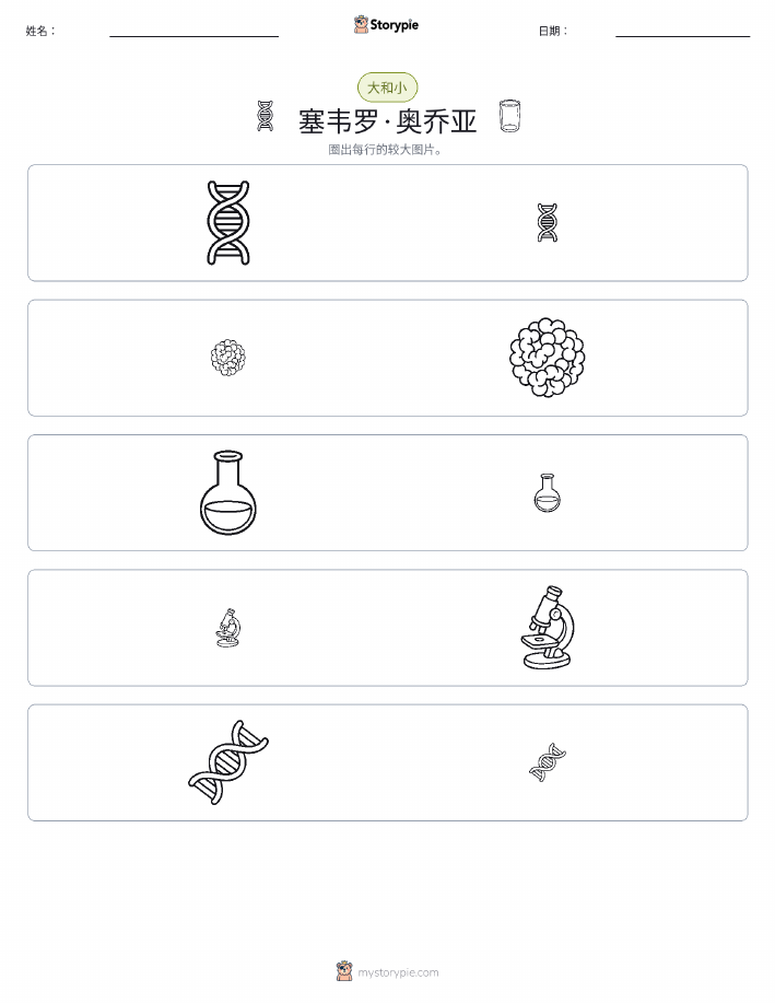 分类