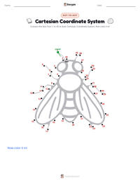 Cartesian Coordinate System printable worksheet preview