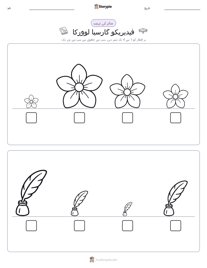 سائز کی ترتیب