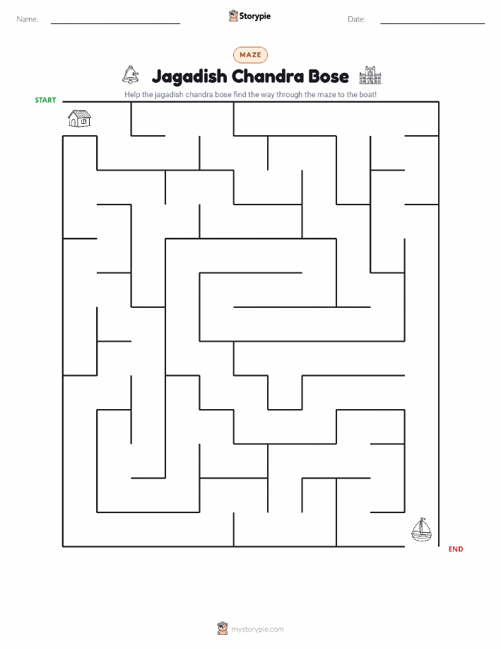 Maze