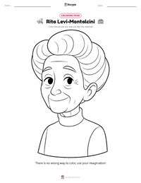 Rita Levi-Montalcini printable worksheet preview