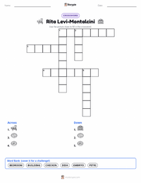 Rita Levi-Montalcini printable worksheet preview