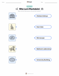 Rita Levi-Montalcini printable worksheet for kids