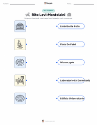 Hoja de trabajo imprimible de Rita Levi-Montalcini para niños