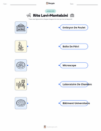 Feuille de travail imprimable Rita Levi-Montalcini pour les enfants