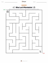 Rita Levi-Montalcini druckbare Arbeitsblatt Vorschau