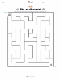 Rita Levi-Montalcini printable worksheet preview