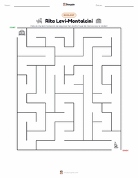 Rita Levi-Montalcini afdrukbare werkblad voorbeeld